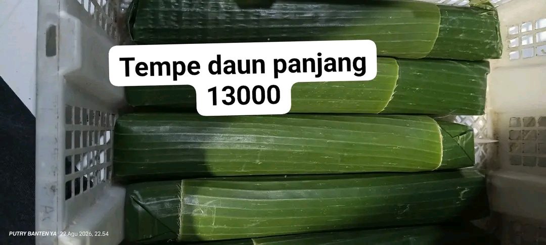 Tempe "Putri Banten"